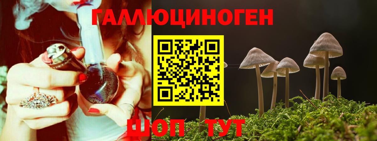 Москва  Галлюциногенные грибы Cubensis  Вход с VPN 